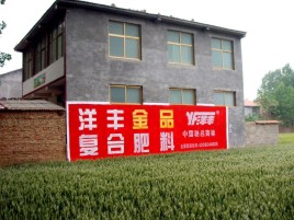 双牌如何让墙体广告展现最大化效果