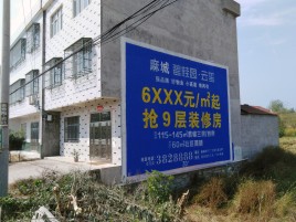 双牌墙体广告质量分析